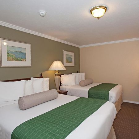 Traveler'S Inn Williams, Ca Modern Renovated Hotel Værelse billede